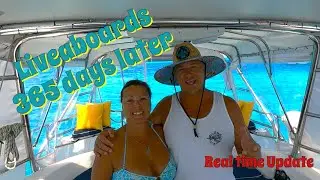 1 Year of Being a Liveaboard | Realtime Update - Sailing Honu Time