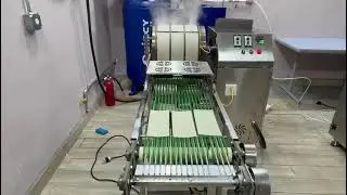 Crispy samosa pastry sheet  machine from America customer #crispy #samosa #سمبوسة  لفائف الربيع