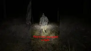 Coon Hunting #hunter #hunting #coonhunting #CoonHuntingwithWalkers #viral #fyp #viralvideo