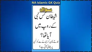 Urdu Quiz - Islamic Questions and Answers Urdu - Islamic Questions and Answers - Islamic GK