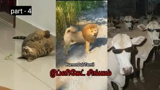 டூப்ளிகேட் சிங்கம்| humordubtamil | part -4 | cat and dog videos tamil | animal funny video tamil