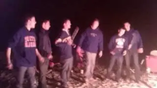 Baby Seal Song