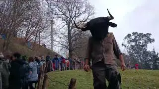LA VIJANERA 2024