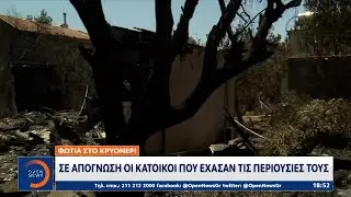 Κρυονέρι: Στάχτη και αποκαΐδια - Σε απόγνωση οι κάτοικοι | Ethnos