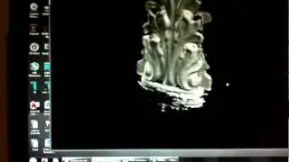 DAVID-Laserscanner demo 3.mp4