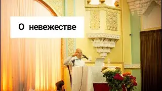 О невежестве. Торсунов лекции 