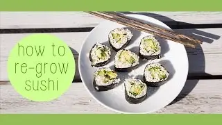 How to Re-Grow Sushi & Planting Seeds / EPISODE #2 / GREEN&HUNGRY