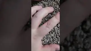 1+ min of carpet scratching asmr #asmr #lofiasmr #carpetscratchingasmr #carpetasmr #carpetscratching
