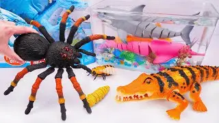 [🔥toy asmr🔥] ZURU Robo Alive SHARK - RC Tanatula Spider - Crocodile ASMR | No talking