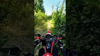 #singletrack #honda #dirtbikeriding #motorcycle #forest #music #crf300l #motovlog #enduro #explore