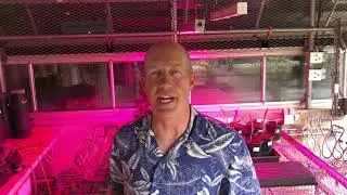 Using a spectrometer to measure light quality and optimize growth in plants