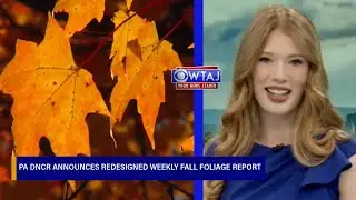 PA DNCR announces launch of redesigned weekly fall foliage report | WTAJ