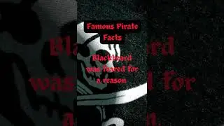 Wild Pirate Facts with Captain Book! | Fun Pirate Shorts for Kids #kidsbookreadaloud #storytime