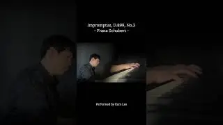 Schubert - Impromptu, D.899, No.3 (Shorts2) #schubert #impromptu #piano