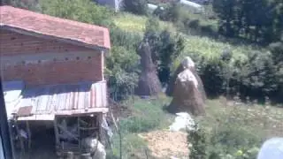 Zonquldak Karapinar - CuKuR KöY 2010 .wmv
