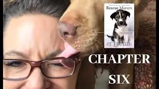 FREE AUDIO BOOK! CH6 Rescue Matters. Inspirational book, animal rescue read by best-selling author.