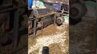 Pine cone nut sheller machine Pinecone threshing machine