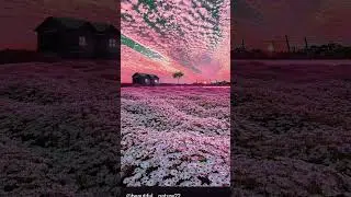 🌸🌸🌸#amazingshots #theworld #Photography #filming #Archaeologicalsites