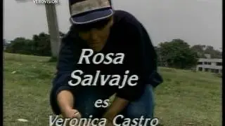 Entrada de la telenovela Rosa Salvaje