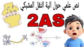 نص علمي حول الية النقل المشبكي ✨ مقترح بقوة للفروض والاختبارات ✨ السنة الثانية ثانوي علوم تجريبية ✨