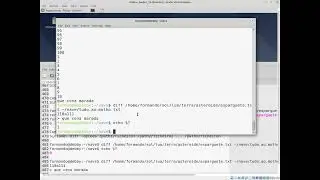 Tutorial comandos iniciais Debian 10 Buster em VirtualBox #5