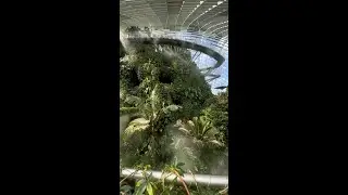 inside the cloud forest