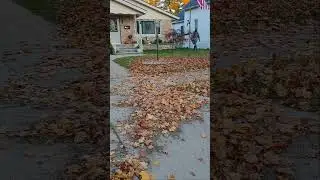 Leaf Blower Magic: See This Front Yard Get Blasted Clean for Fall!!