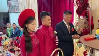 tan hon pham ha & kim chi