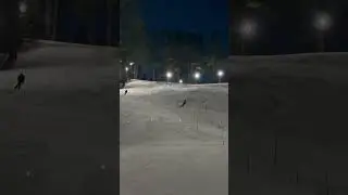 Slalom training #skiing #slalom #skiracing
