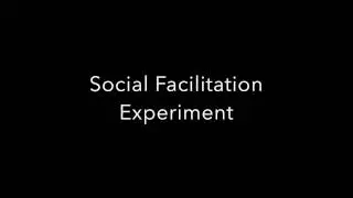 Social Facilitation Experiment