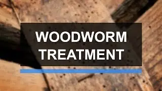 Woodworm Treatment | Richardson & Starling