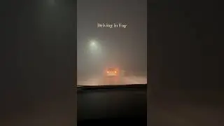 Driving in fog with zero visibility #driving #hondacivic #zerovisibility #youtubeshorts #weather