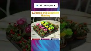 Top 12 Revolutionary Farming Business Ideas for Mega Profits in 2025-26! 🌾💰|#farming#business_ideas
