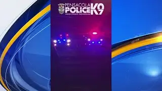 Pensacola Police K9, handler go viral on TikTok