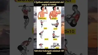 Latihan untuk membentuk otot sayap di rumah|Bagi pemula #fitness #gym #shorts