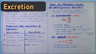 Excretion of metabolic waste | Ammonia, Urea & Uric Acid | Human Physiology | Class 12 Biology