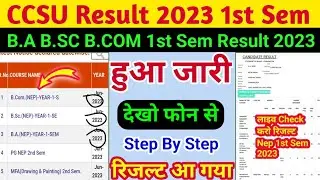 CCSU Result 2023 NEP 1st Sem Result Declared BA BSC BCOM | BA 1st Sem Result 2023 CCSU  | 1st Sem