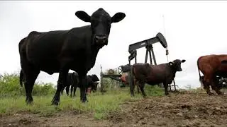 Responsible Handling of Orphan Wells