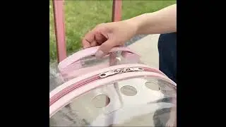 Transparent Cat Trolley Case😺💕