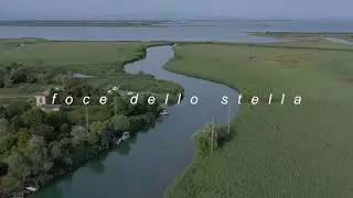 Foce dello Stella