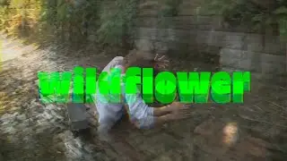 Mash Life - Wildflower (Vladimir Film Festival recut)