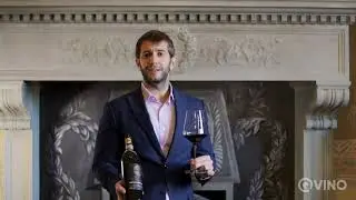 Montefalco Sagrantino Colleallodole - Milziade Antano Fattoria Colleallodole EN