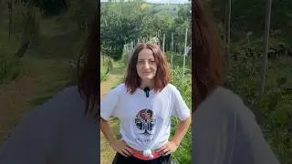Orto SINTROPICO: RIGENERARE il suolo