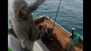 Diving Akaroa - Perfect Mixed Bag