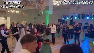 Still din Mizil - Colaj hore live 2026