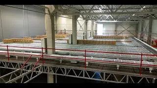 Palletizing System for Efficient and Innovative Packaging Solution from 17 different lines