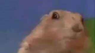 Dramatic Chippmunk