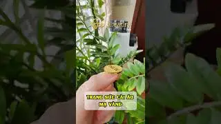 TRANG SỨC C&Agrave;I &Aacute;O CAO CẤP MẠ V&Agrave;NG 24K #mavang #trangsuccaocap #logo