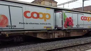 20240608 124035 Train de marchandises