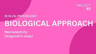 Neuroplasticity - IB HL/SL Psychology 2025
